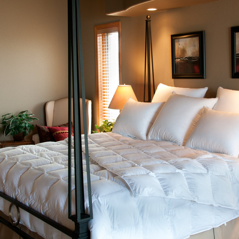 Ogallala Comfort Company Avalon Lightweight Down Comforter & Reviews Wayfair